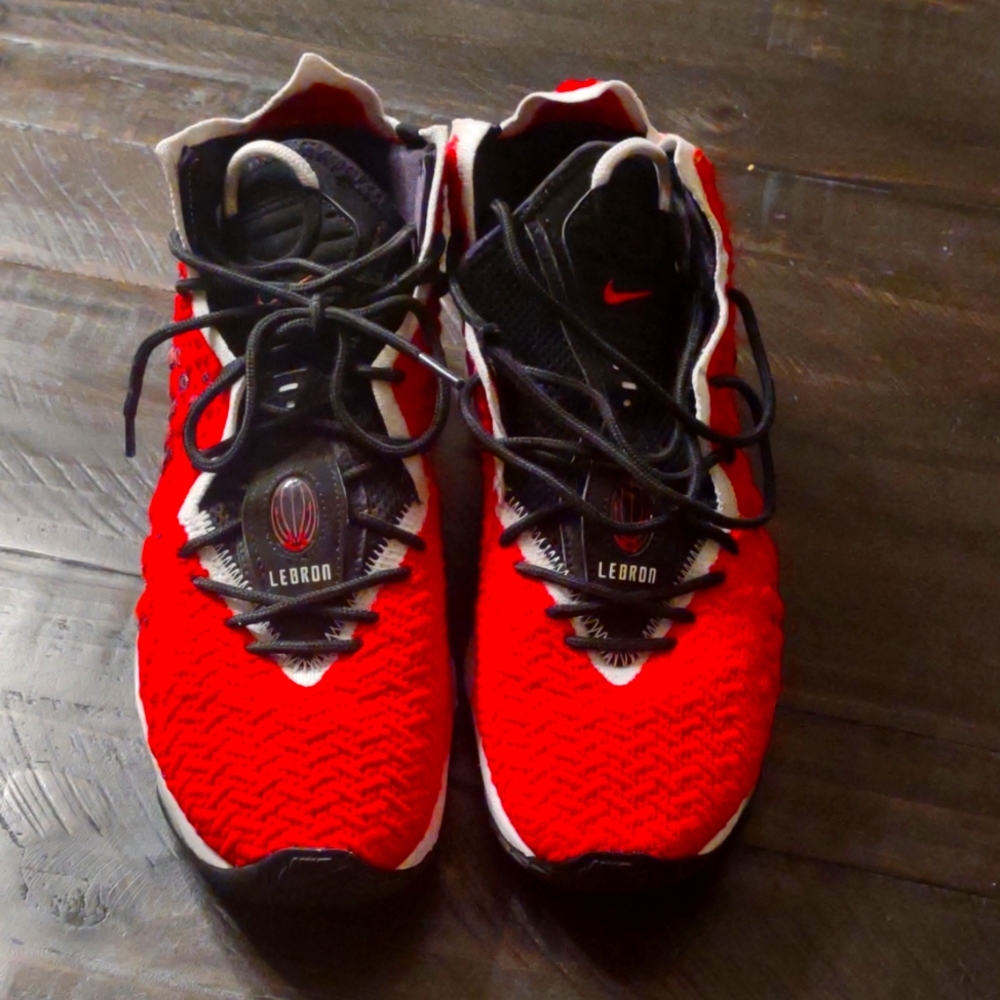 Men's size 9.5 Lebron Shoes